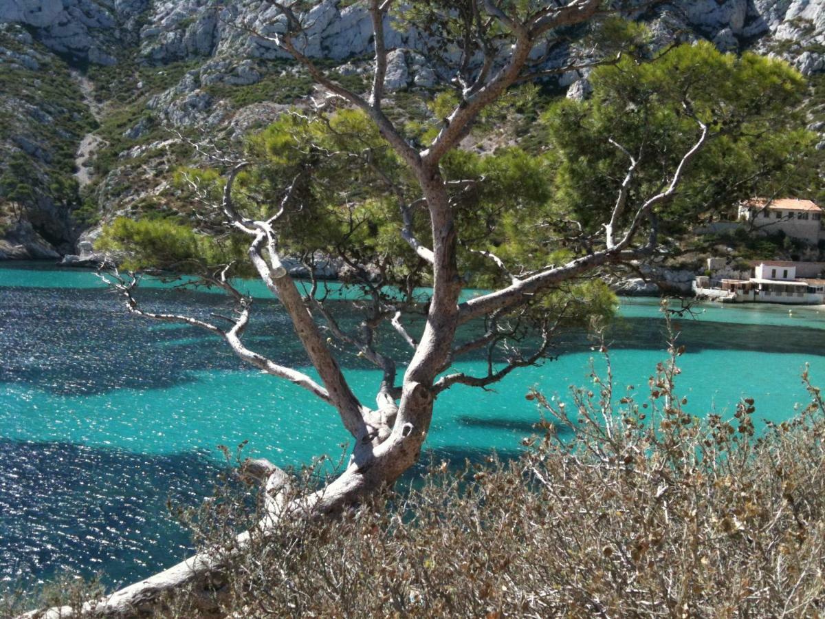 Home A La Mer La Ciotat Buitenkant foto